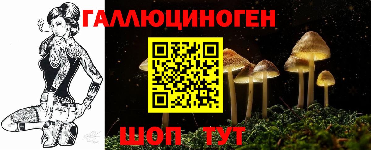 Галлюциногенные грибы Cubensis Грязи