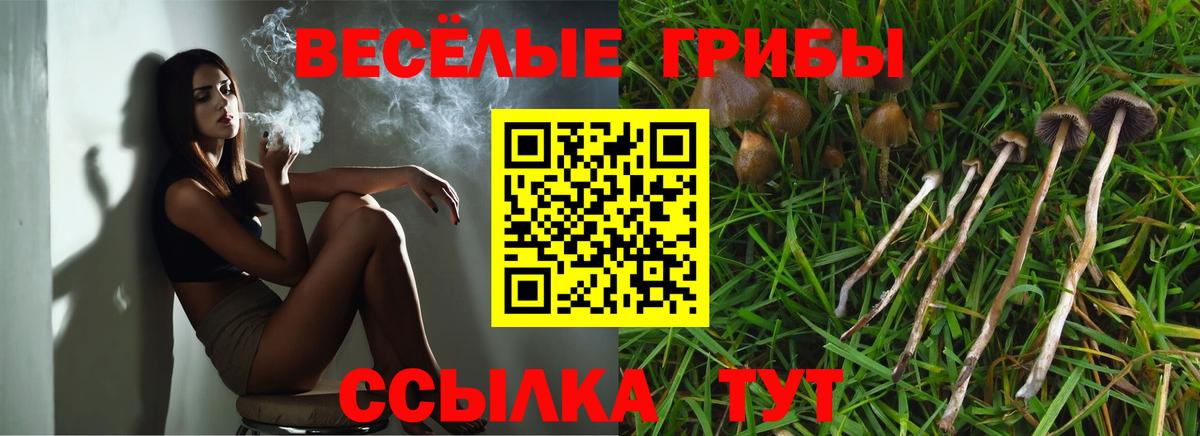 Галлюциногенные грибы Psilocybine cubensis  Вход с VPN  Грязи 